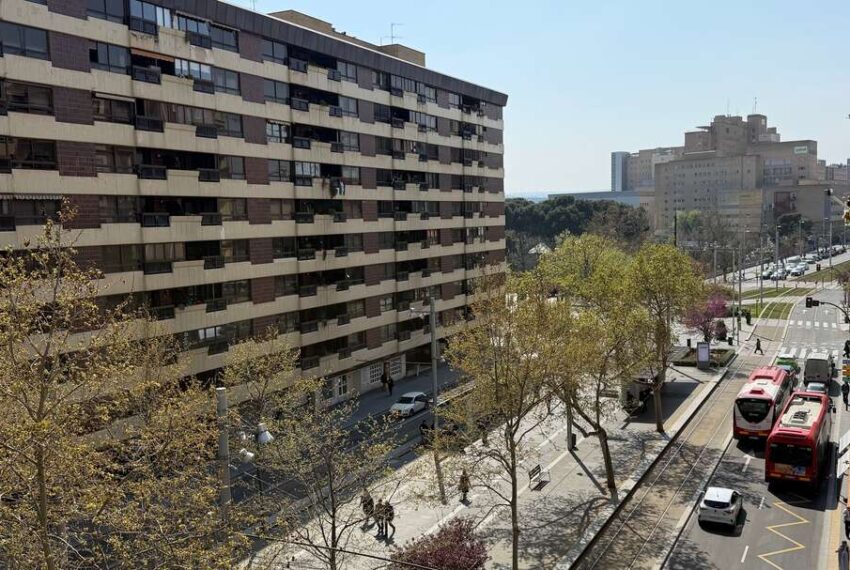 img_7040_0247407001774951205