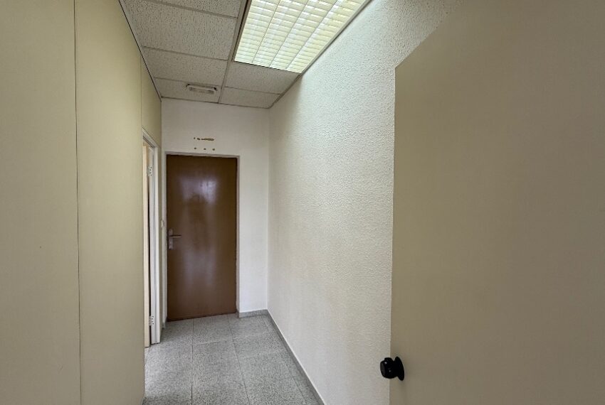 img_7342_0207850001775670161