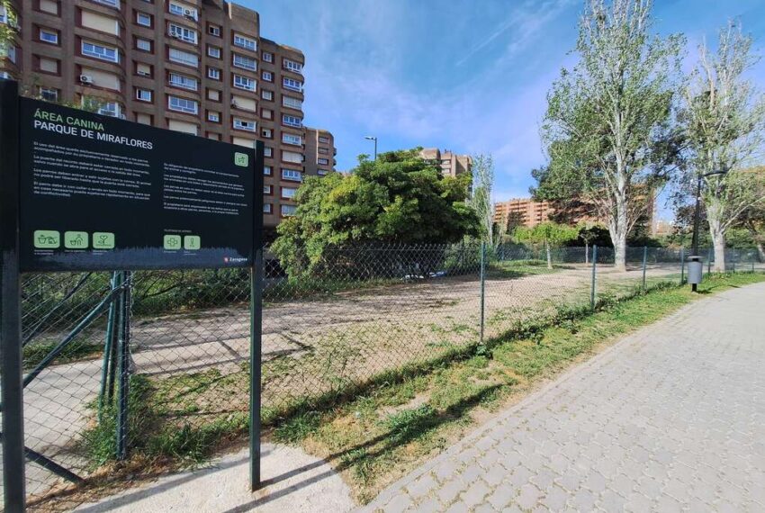 whatsappimage2026-04-07at152945_0310926001775659259