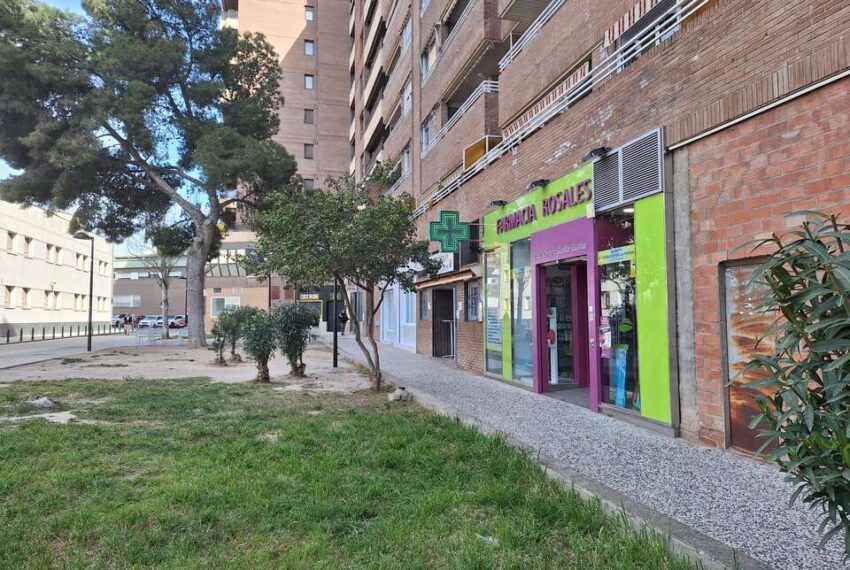 whatsappimage2026-04-07at1529482_0865164001775659261