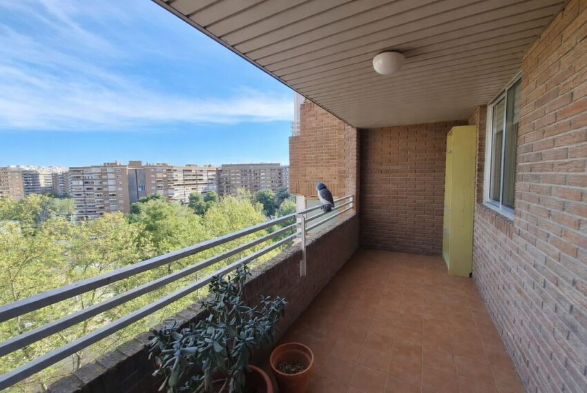 whatsappimage2026-04-07at1530231mejorada_0770569001775734224